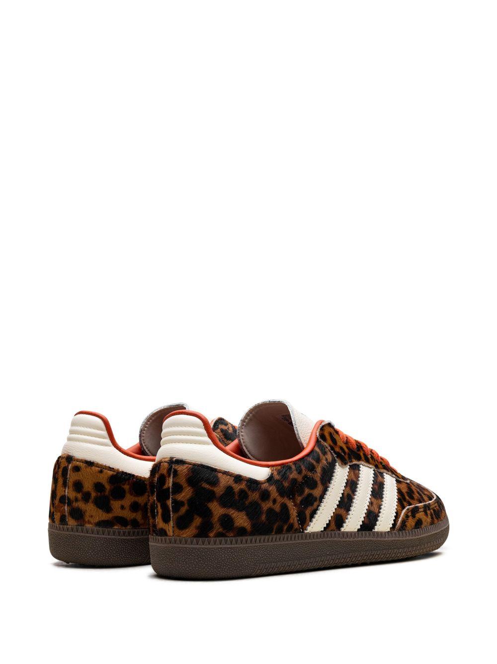 Gazelle Indoor sneakers Product Image