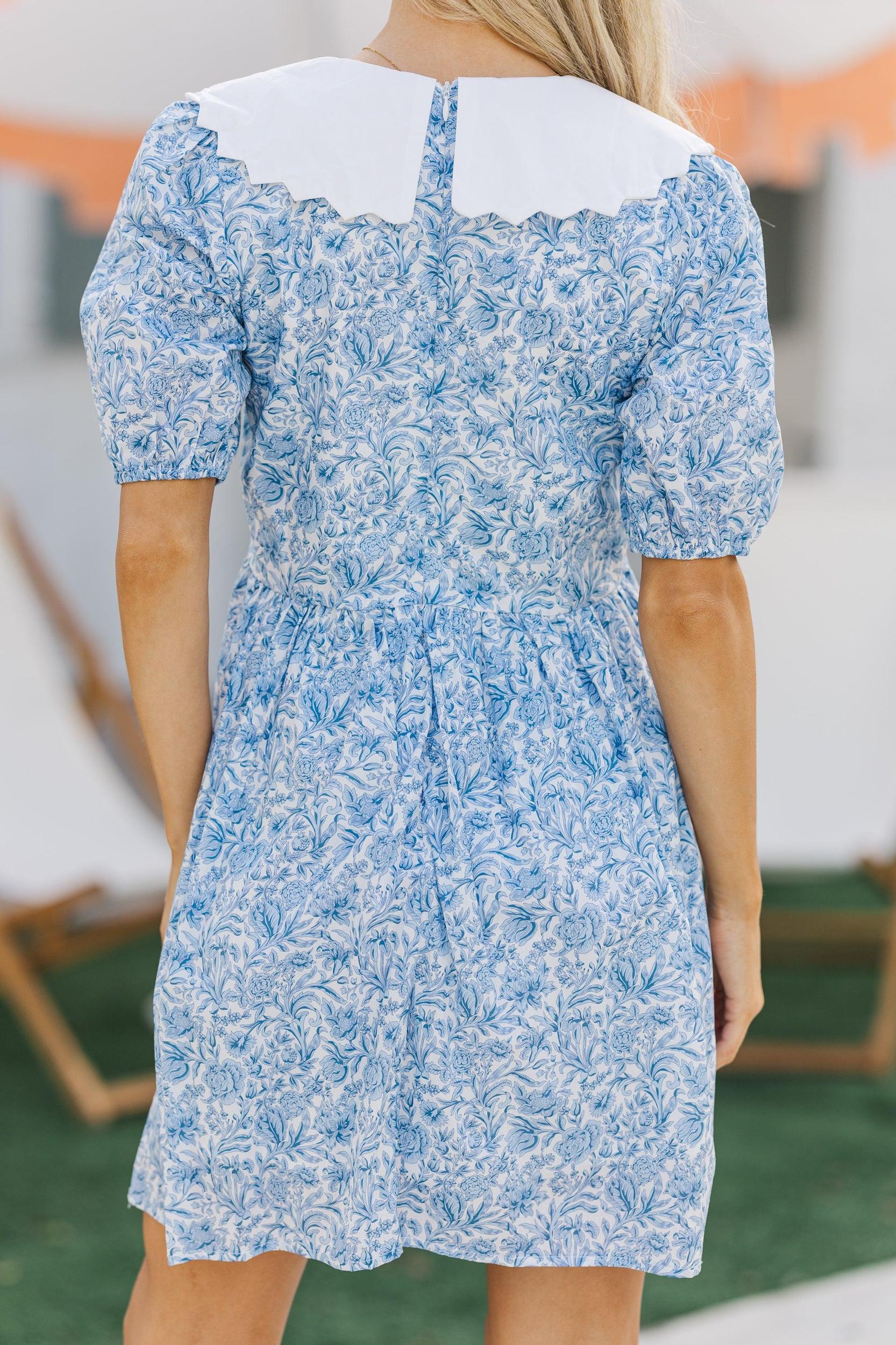 The Life Blue Toile Dress Female Product Image