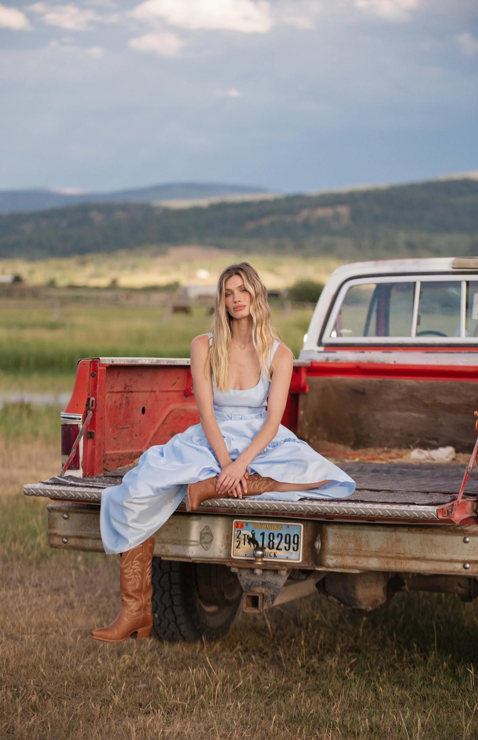 Alice Dress Product Image