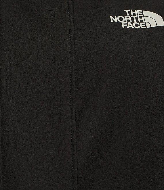 The North Face Shelbe Raschel Fleece Hooded Zip Front Parka Product Image