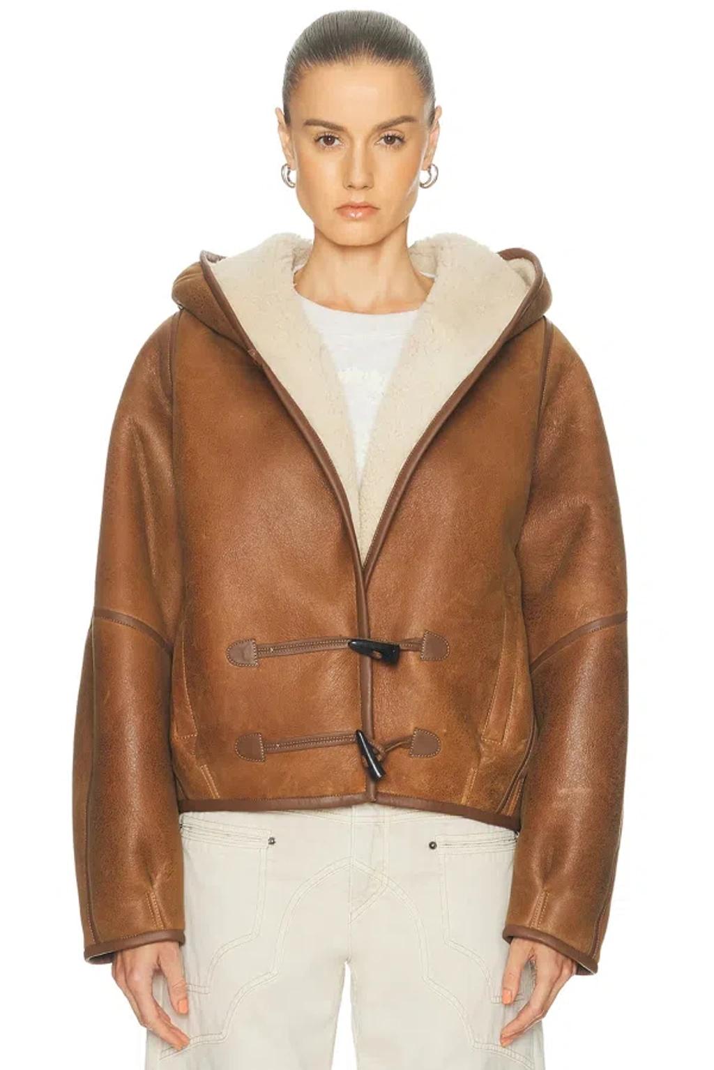ISABEL MARANT Amiel Leather-trimmed Shearling Hooded Jacket In Brown Product Image