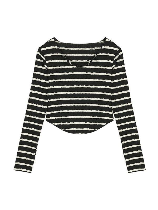 Texture Striped Knit Crop Top Product Image