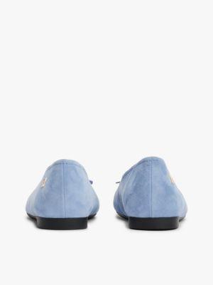 Suede Ballet Flat Product Image