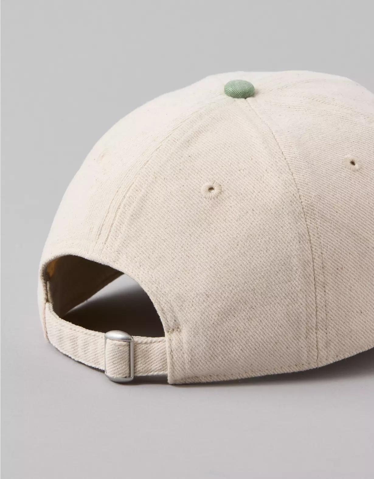 AE Destination Baseball Hat Product Image