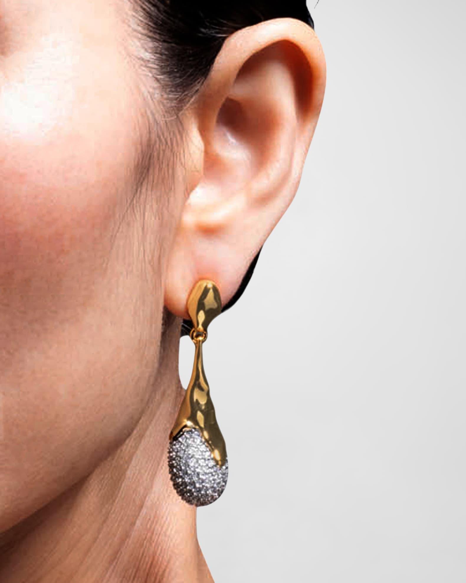Solanales Crystal Teardrop Earrings Product Image