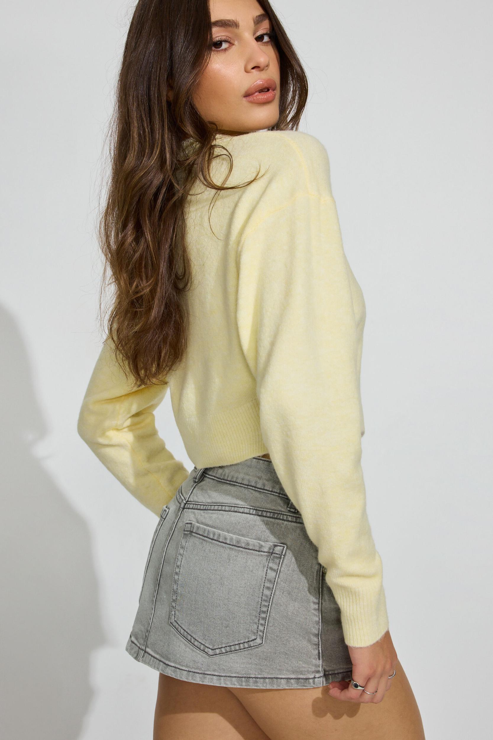 Denim Micro Skort Product Image