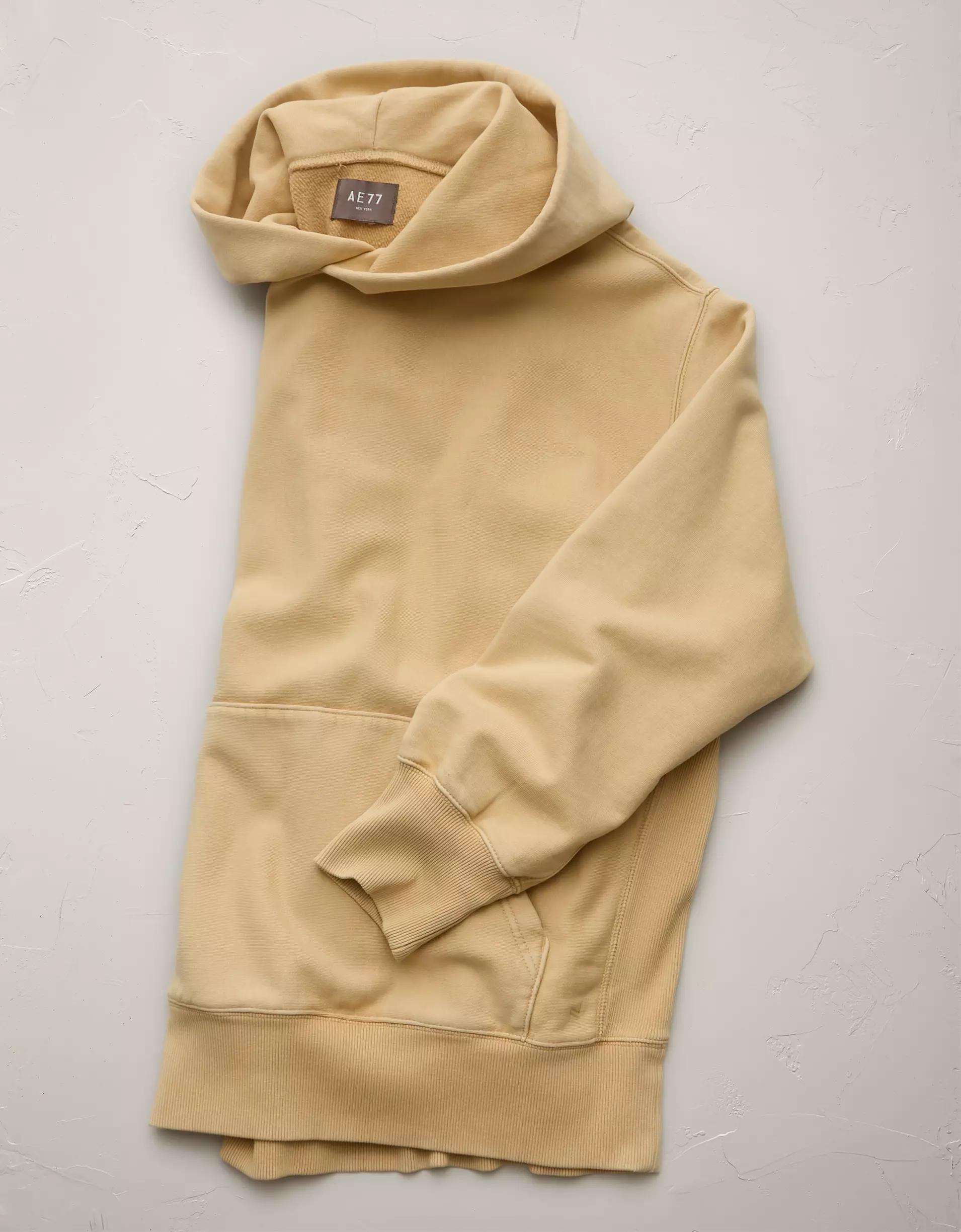 AE77 Premium Fleece Hoodie Product Image