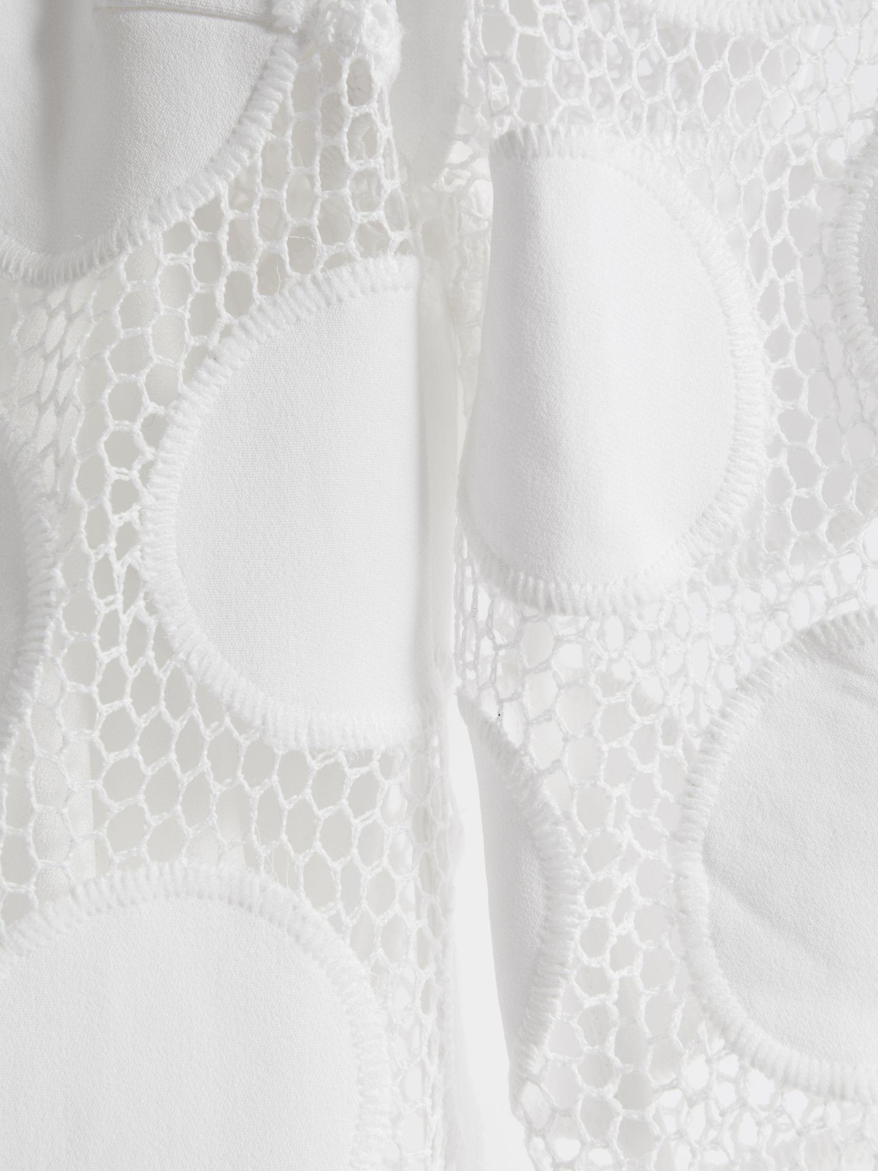 Atelier Sheer Embroidered Mini Dress in Ivory Product Image