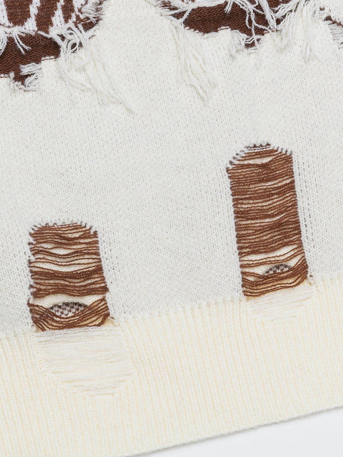 Aelfric Eden Fringe Distressed Butterfly Sweater Product Image