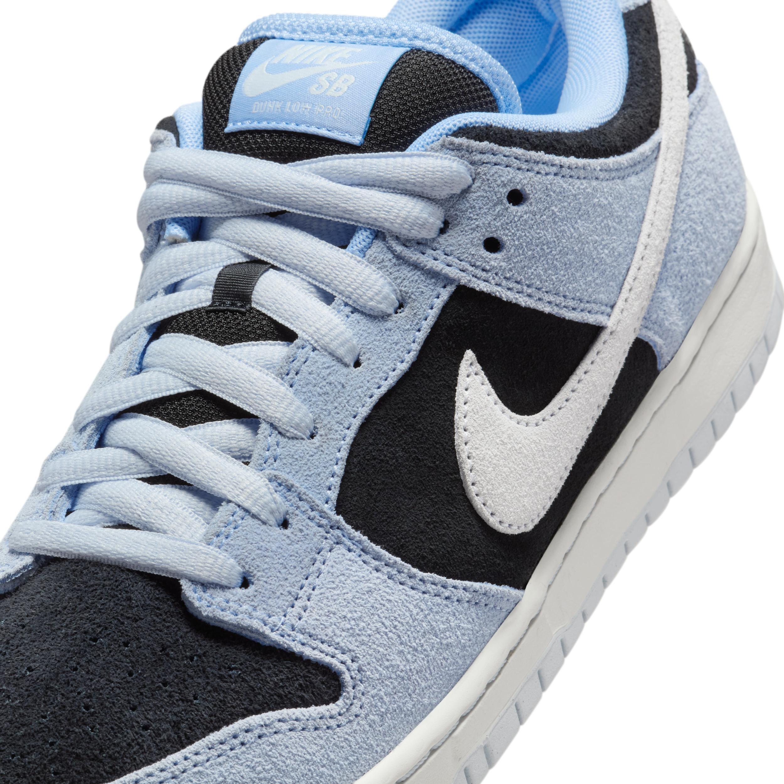 Mens Nike SB Dunk Low Pro Skate Shoes | HF3063-400 Product Image