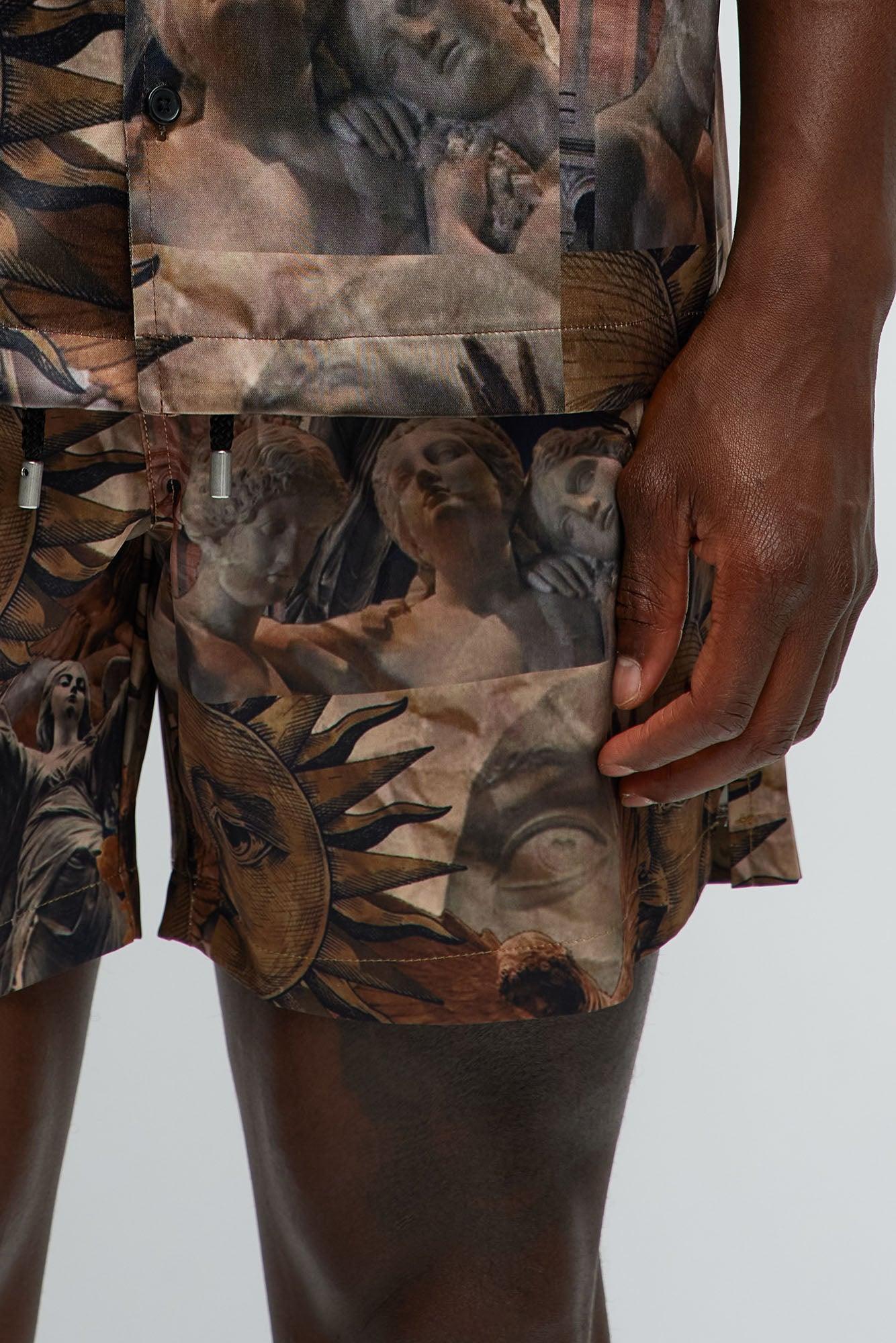 Celestial Glory Swim Mid Trunk - Brown/combo Male Product Image