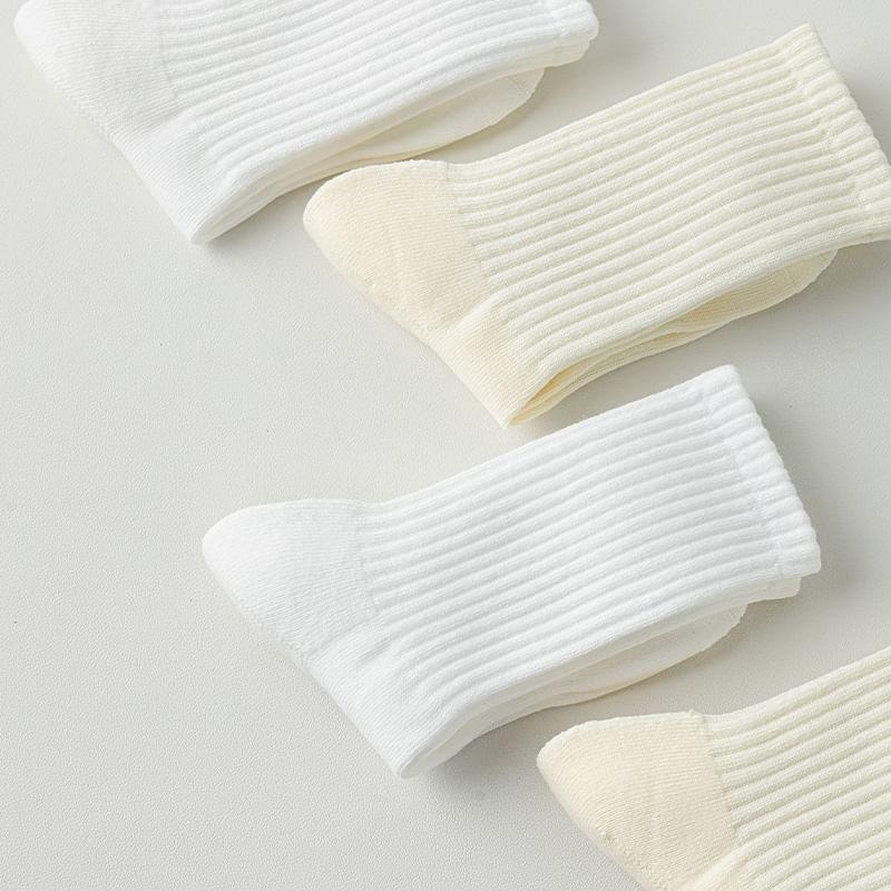 Plain Ribbed Socks / Set Product Image