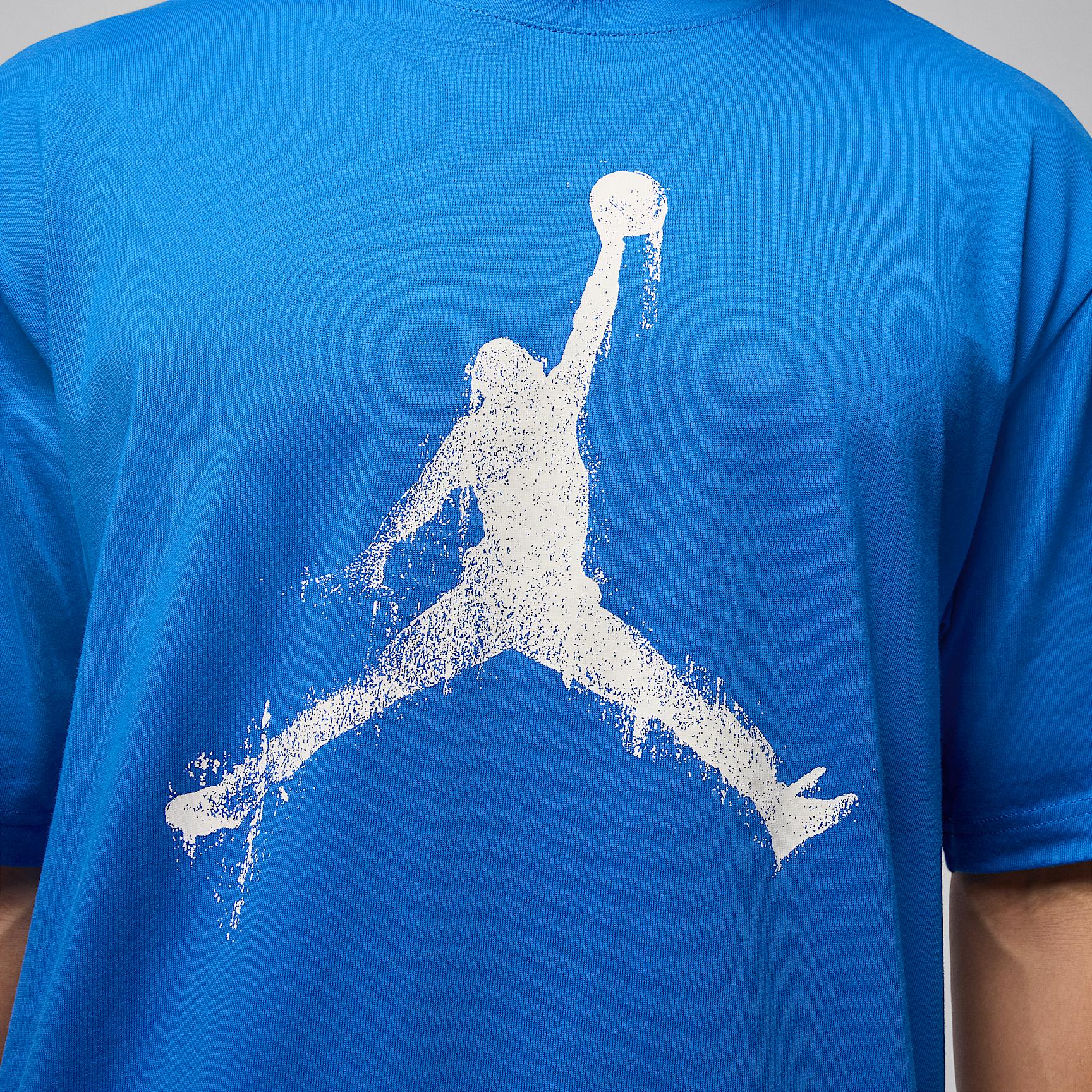 Mens Jordan Brooklyn T-Shirt | HQ8925-459 Product Image