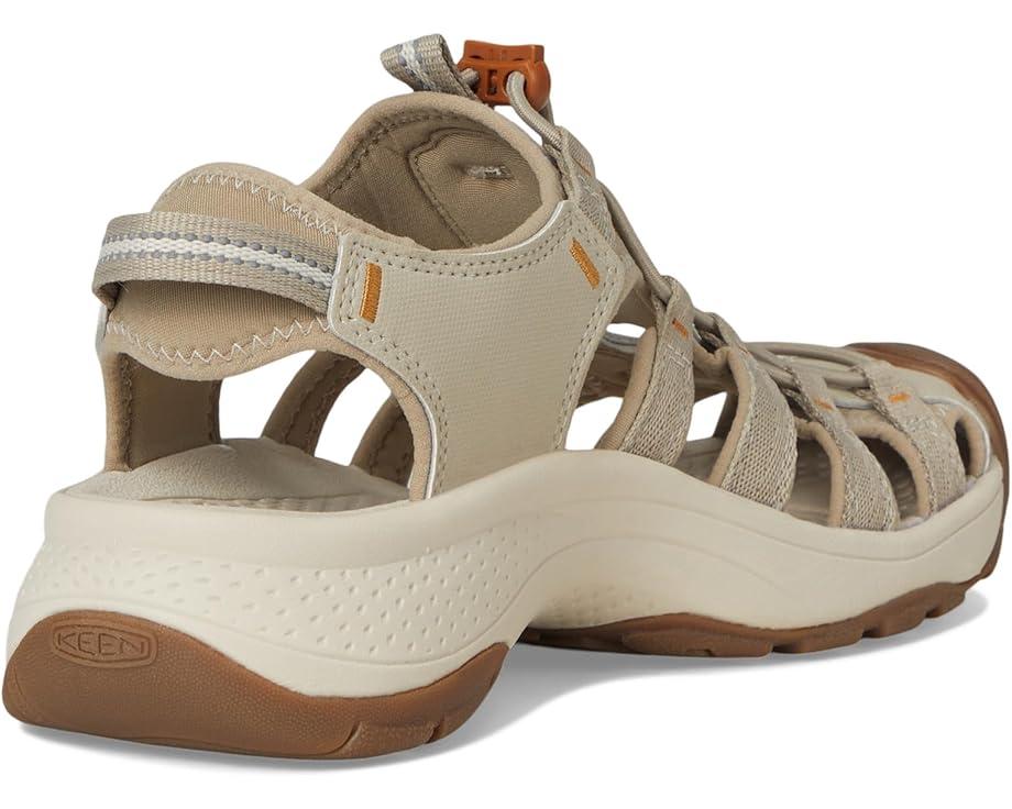 Newport H2 Product Image