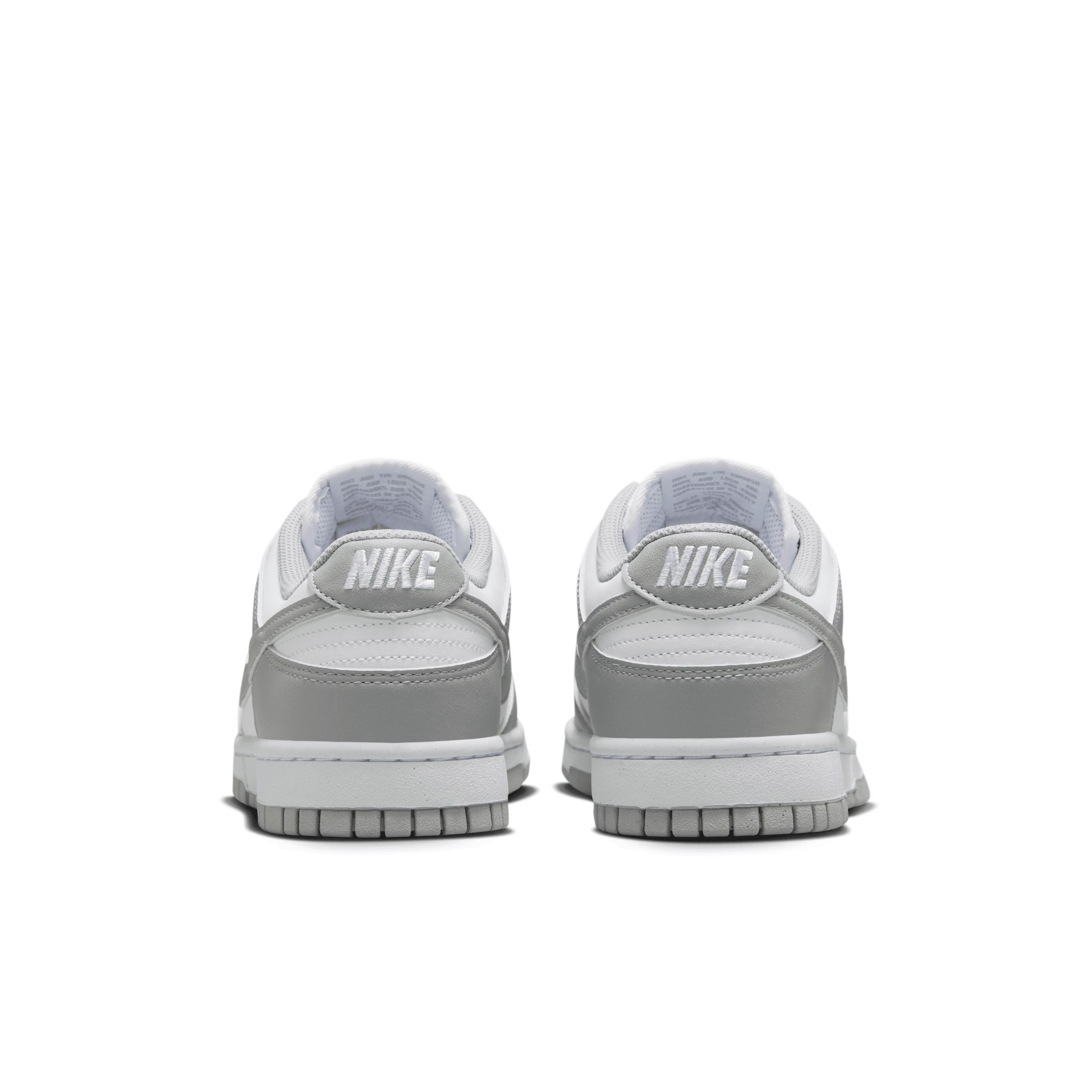 Nike Womens Dunk Low Next Nature Shoes | DD1873-113 Product Image