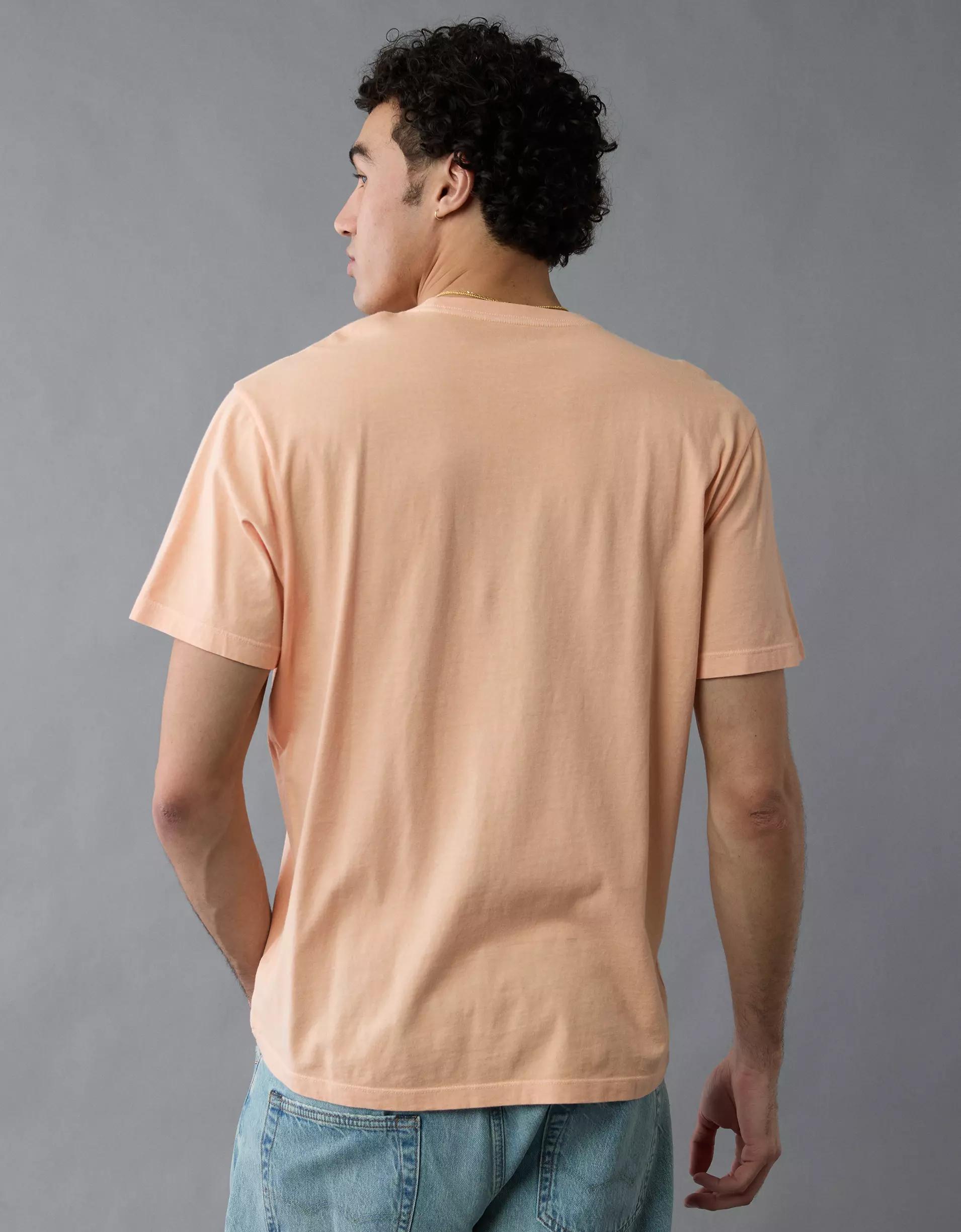 AE Lived-In T-Shirt Product Image