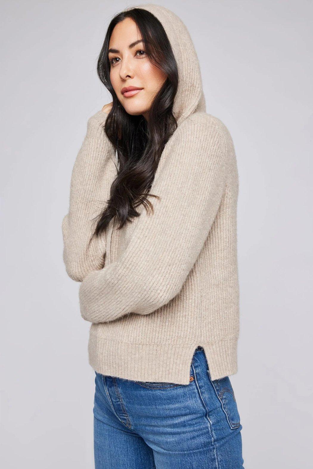 Alanis Hooded Sweater Product Image