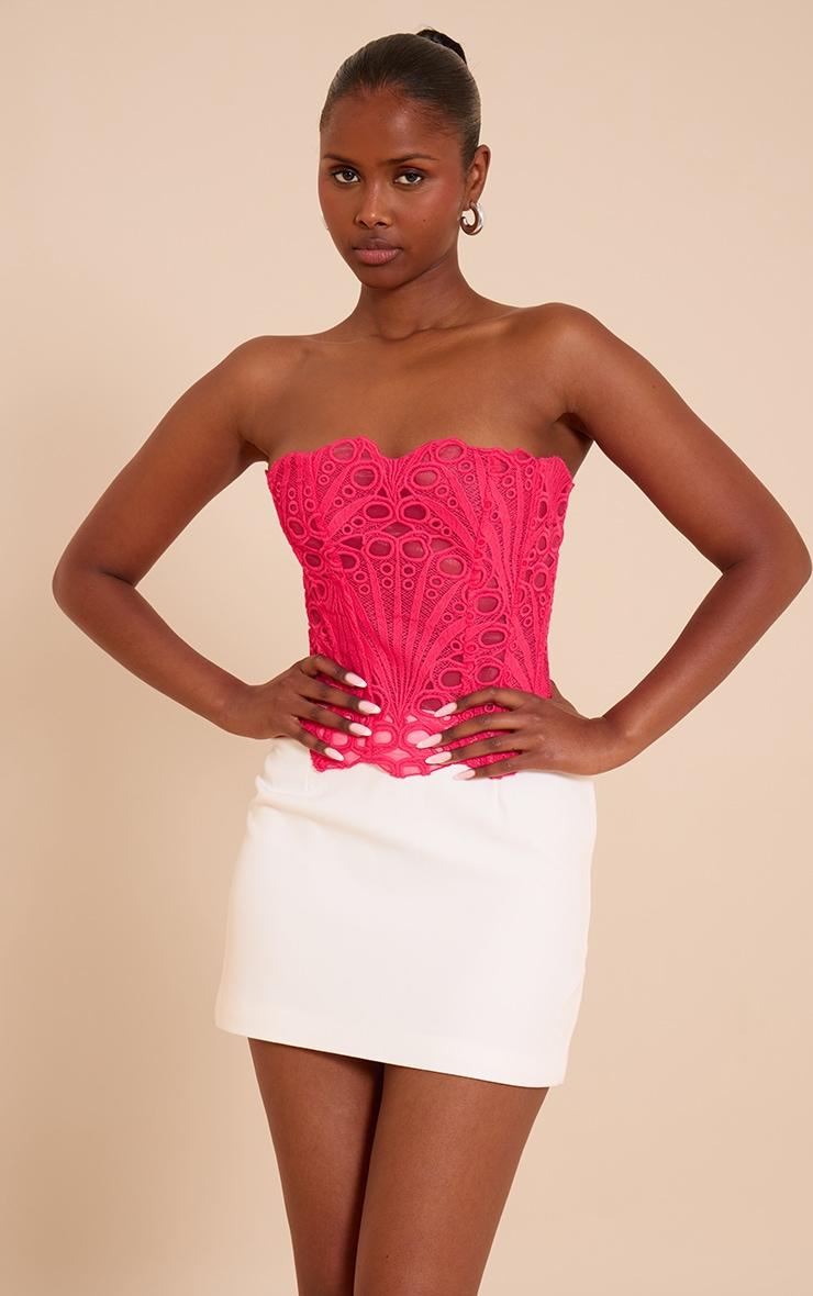 Fuchsia Textured Sheer Floral Lace Corset Product Image