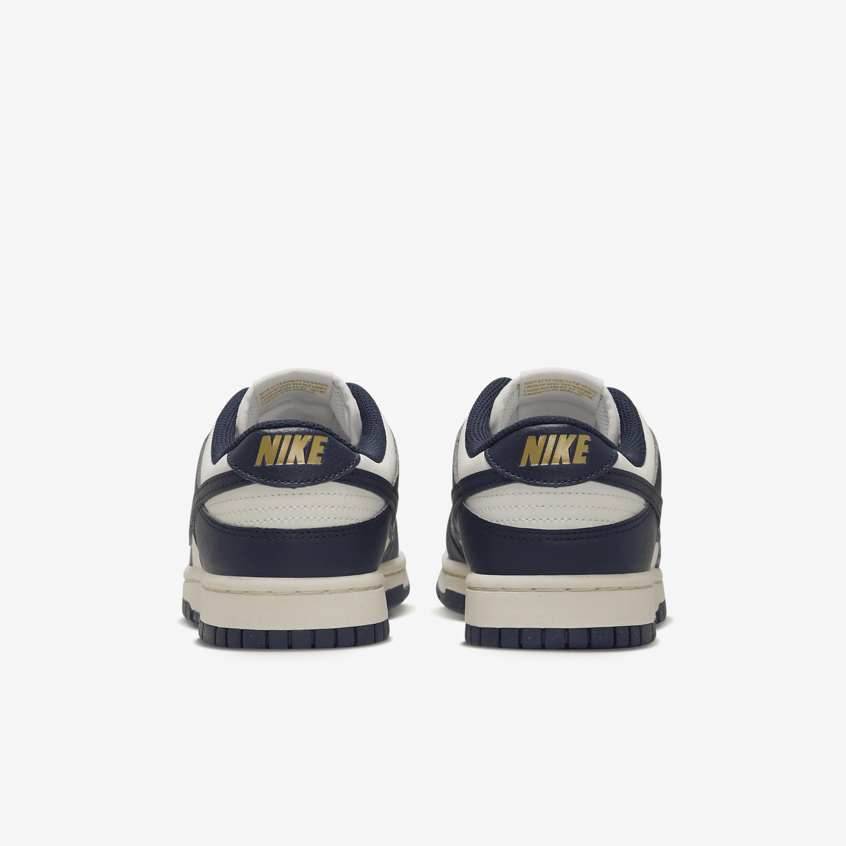 Nike Dunk Low Next Nature Women's Shoes Product Image