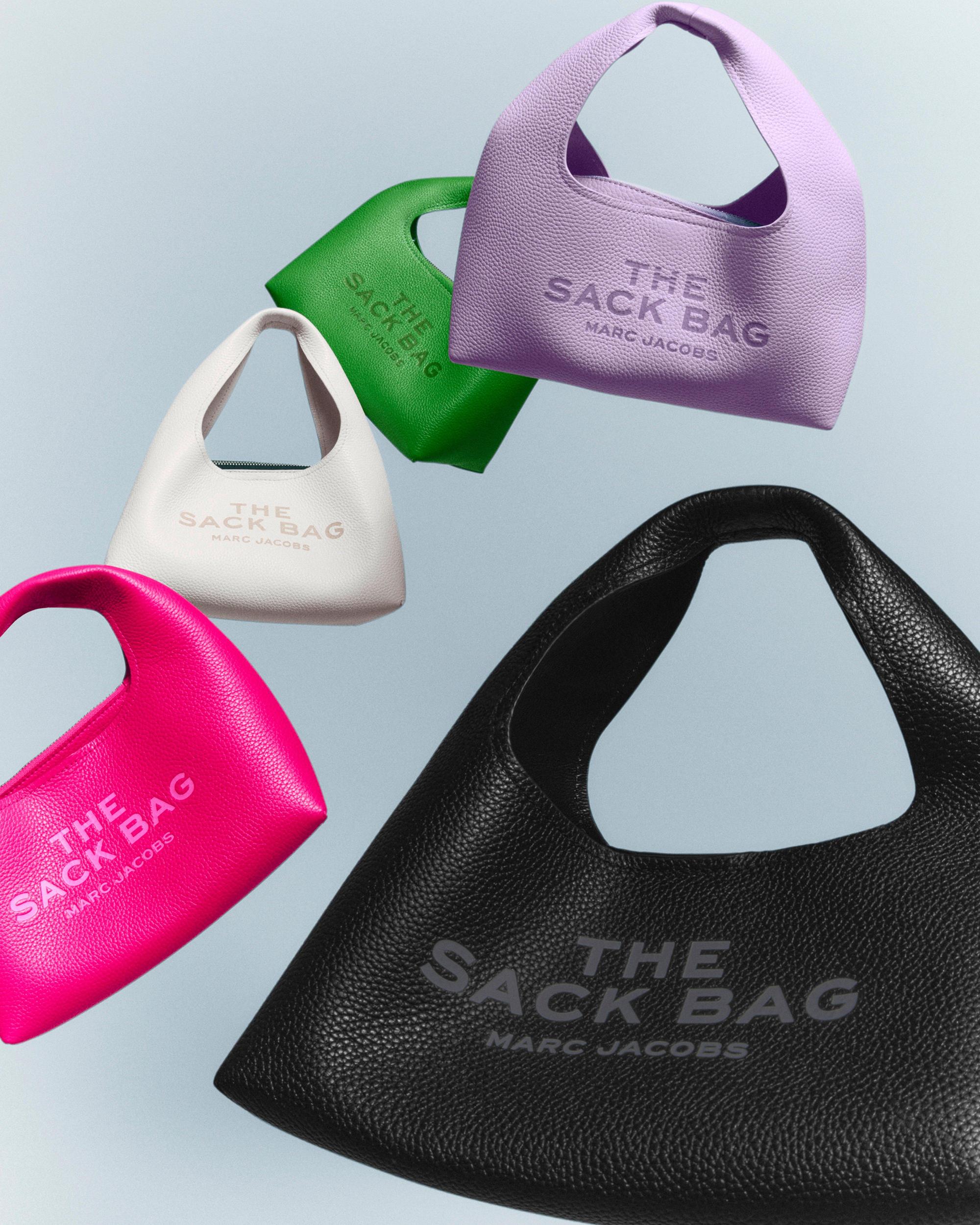 The Mini Sack Bag Product Image