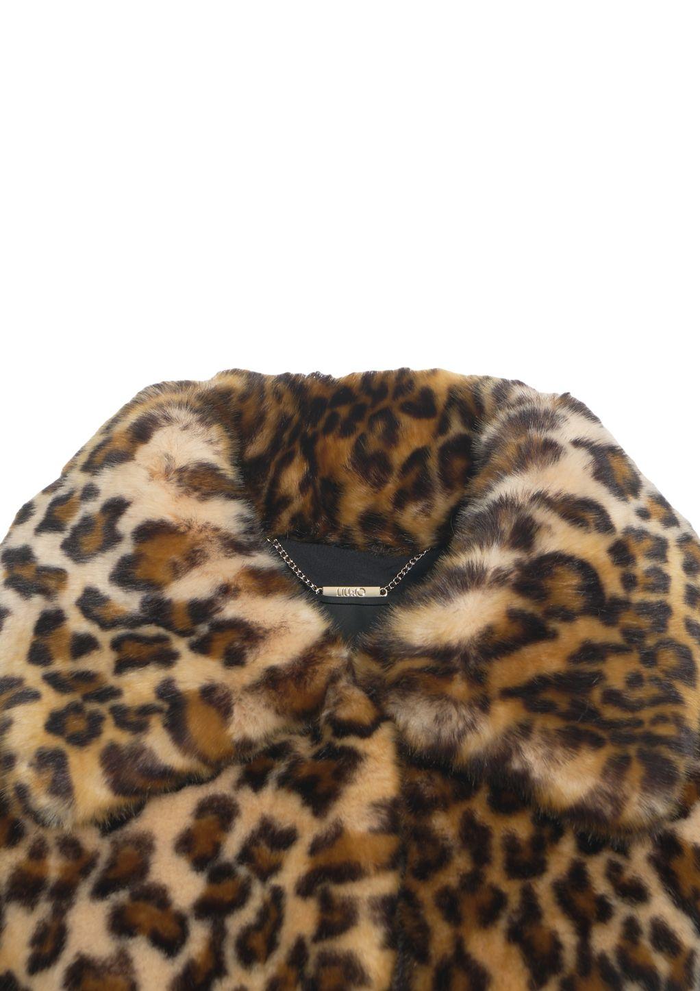 Coat with animal print Product Image