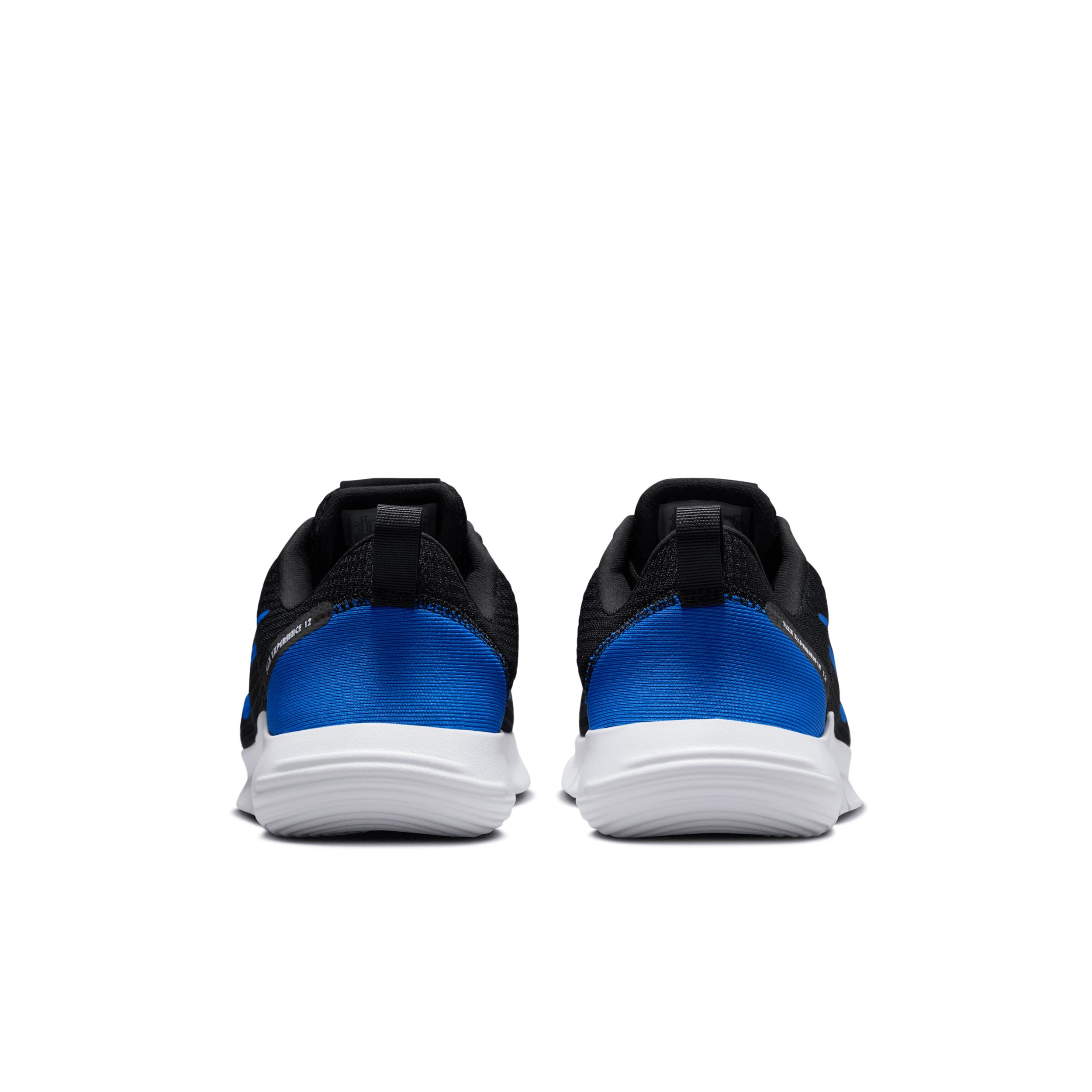 Nike Mens Flex Experience Run 12 Road Running Shoes | DV0740-103 Product Image