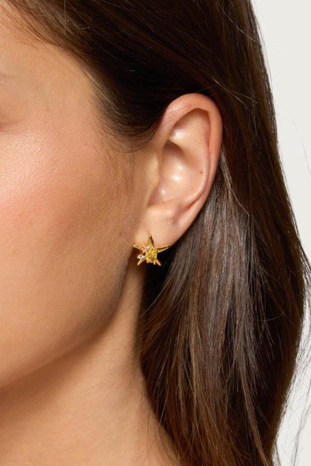 Sea Star Stud Earrings Product Image