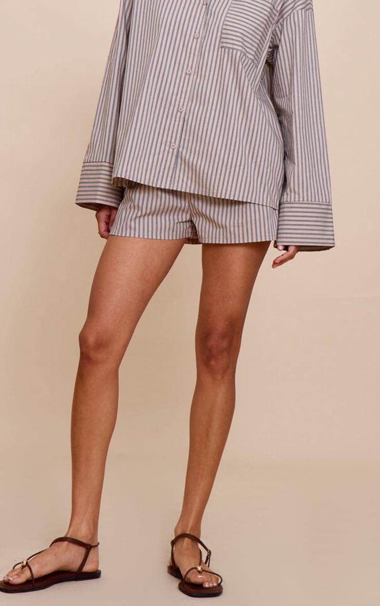 Stone Woven Pinstripe Balloon Sleeve Oversized Shirt Product Image