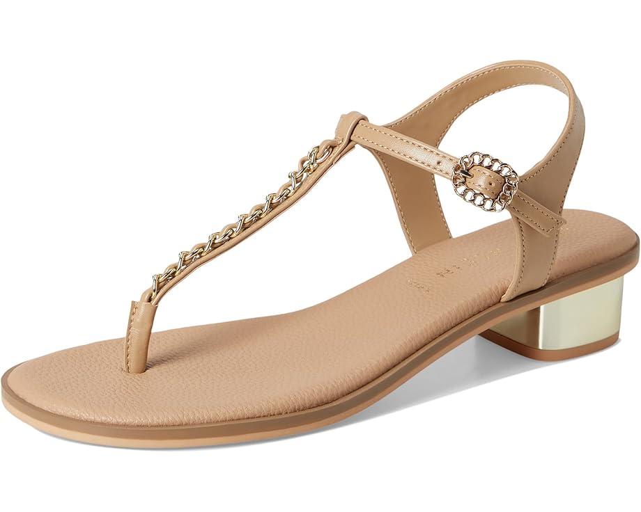 MSRP: $79(10% OFF) Product Image