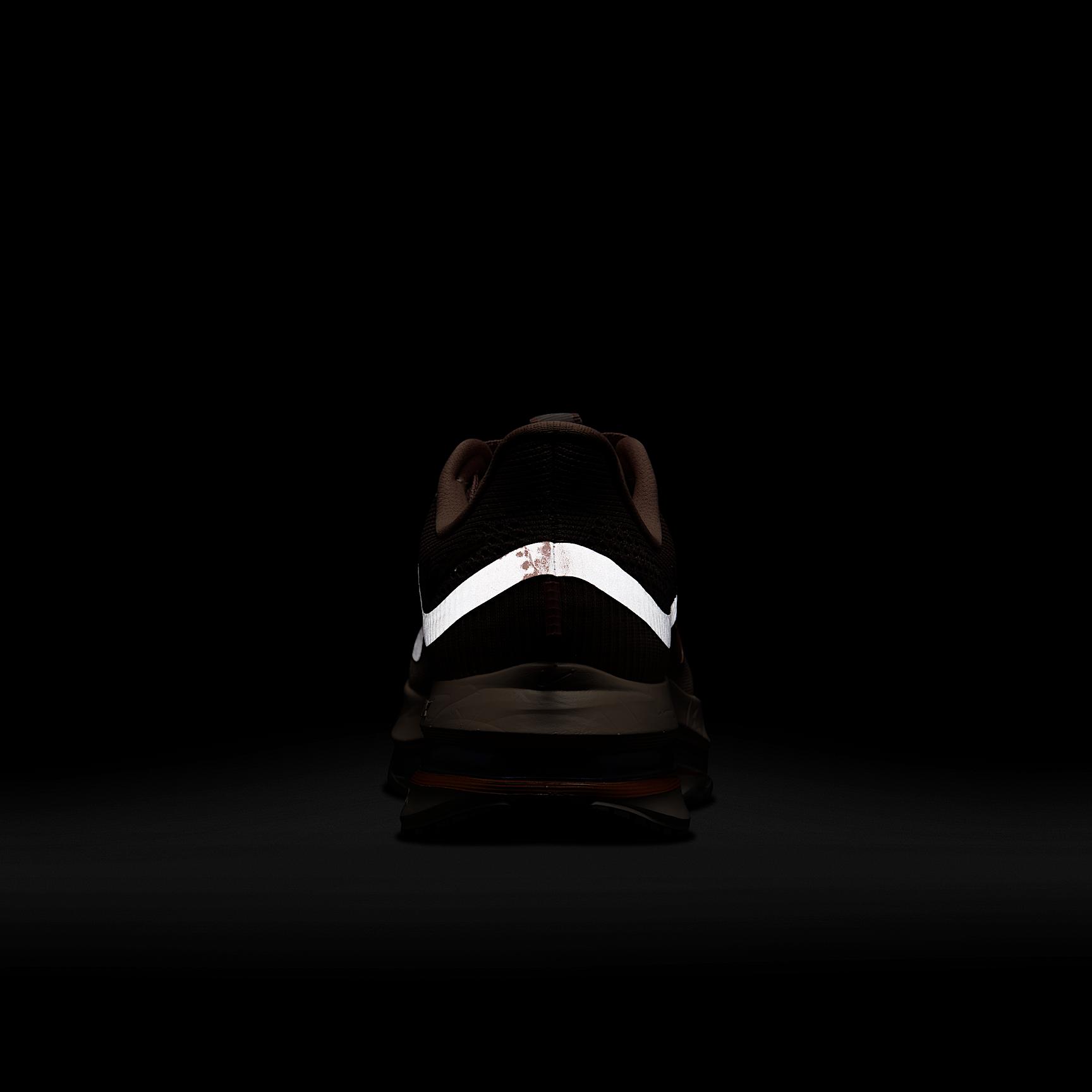 Nike Womens Pegasus Premium Road Running Shoes | HQ2593-603 Product Image