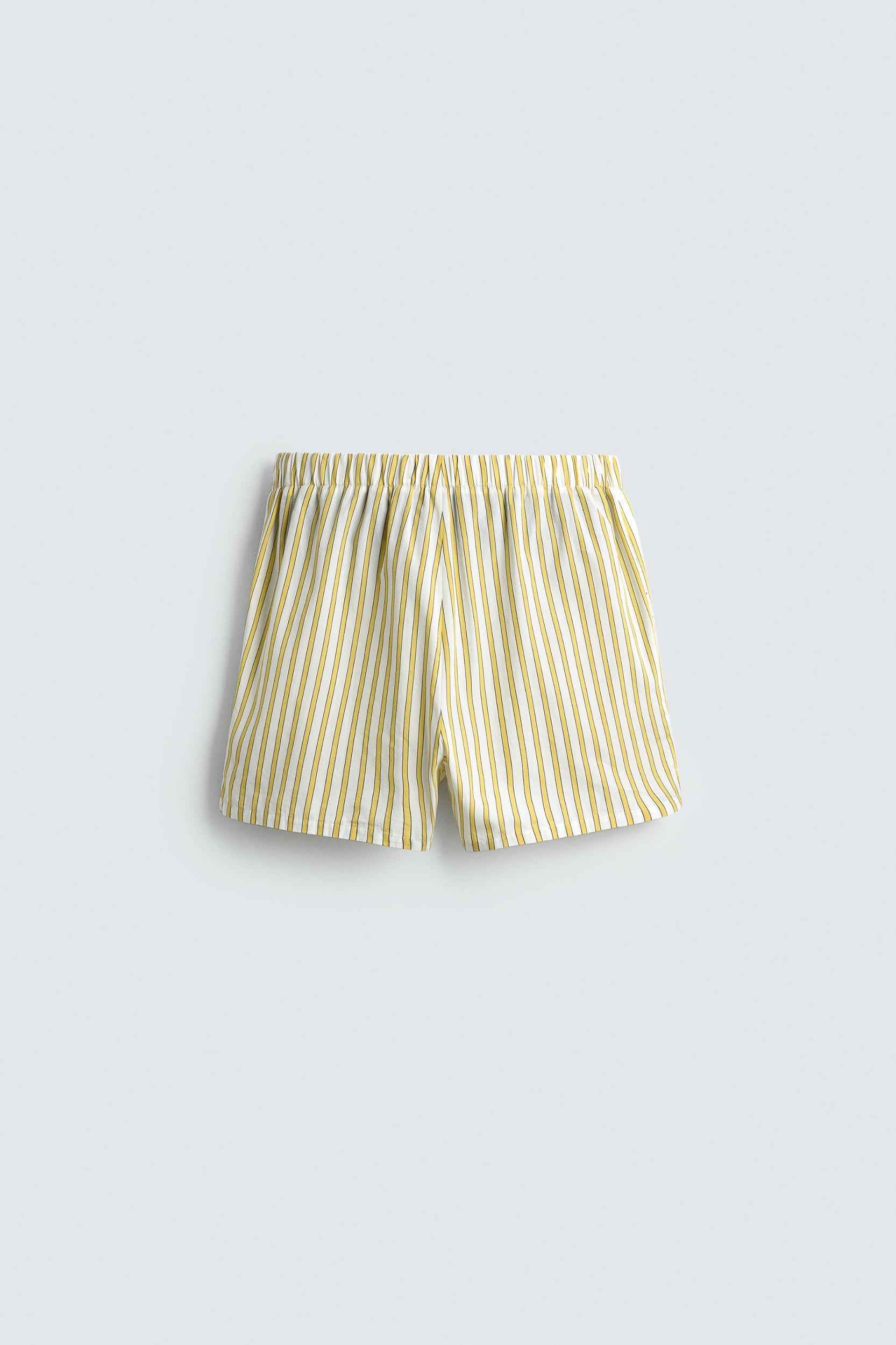 STRIPED EMBROIDERED SHORTS Product Image
