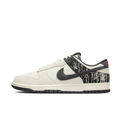 Nike Mens Dunk Low Retro SE Shoes | IB6399-002 Product Image