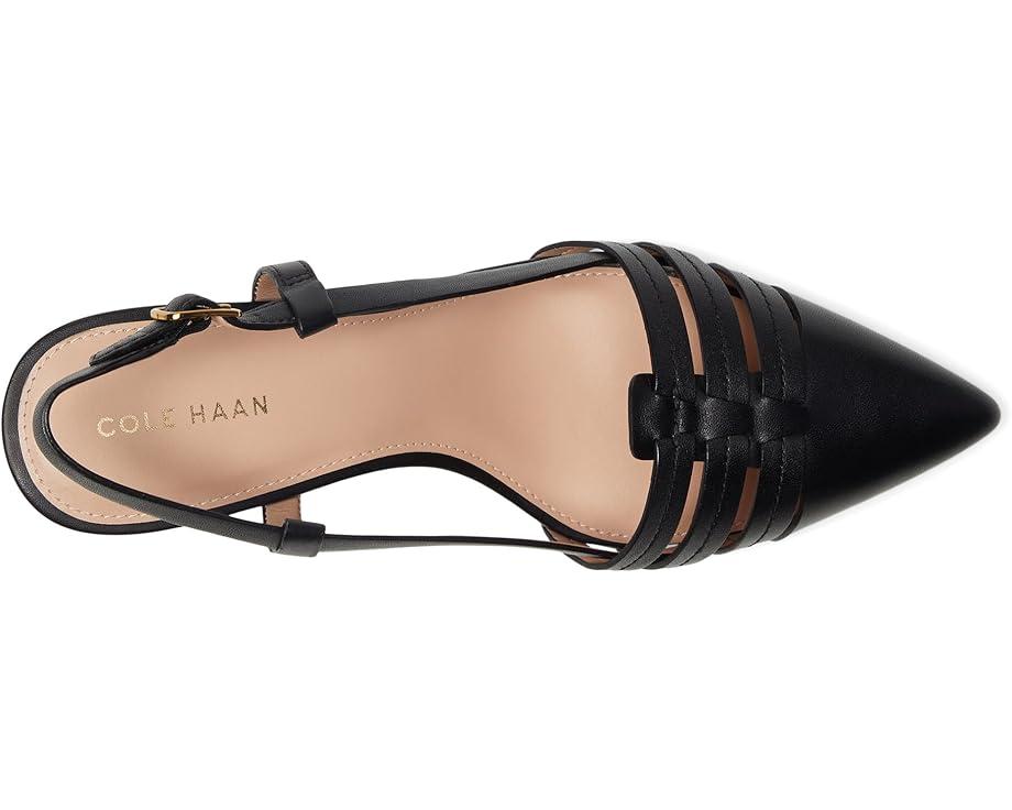 MSRP: $120(10% OFF) Product Image