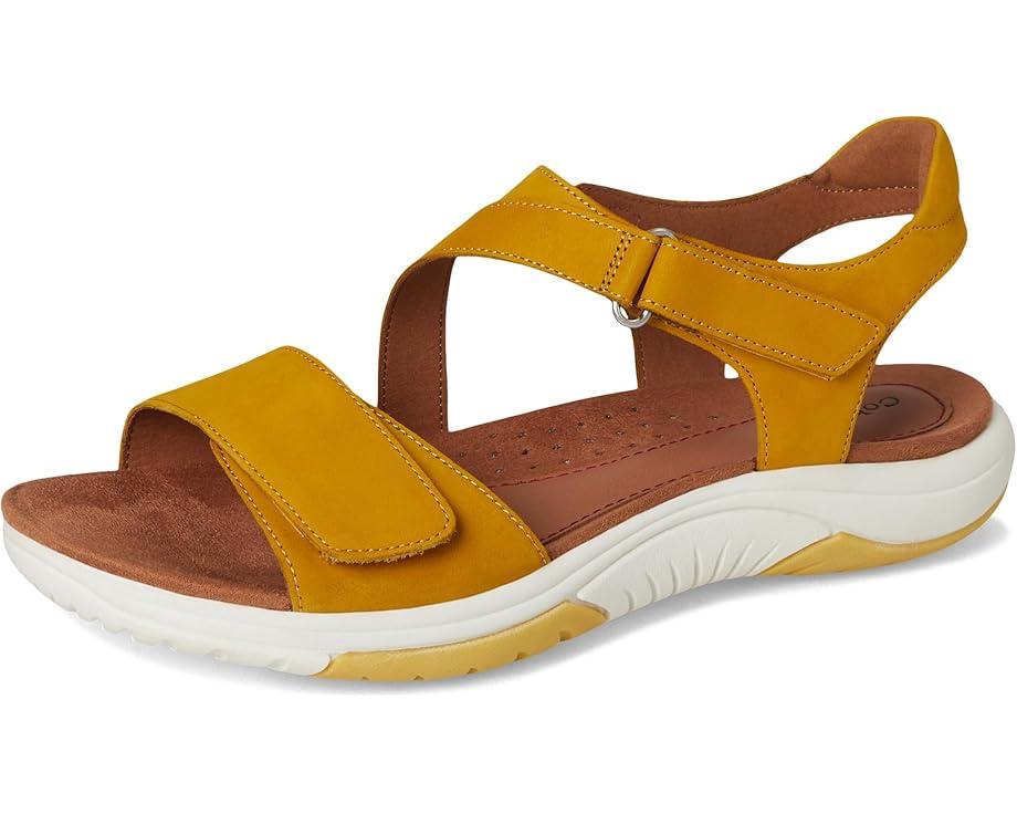 Cobb Hill Product Image