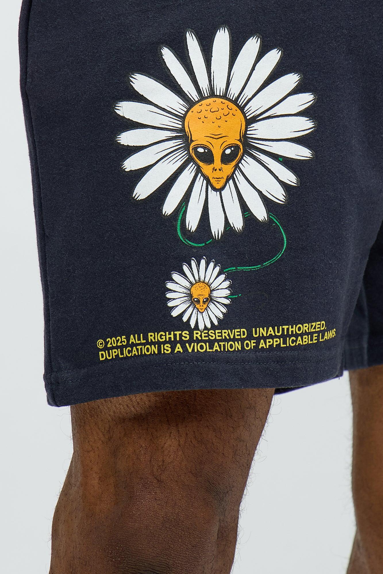 Stack Cash Chase Stars Sweatshorts - Black Male Product Image