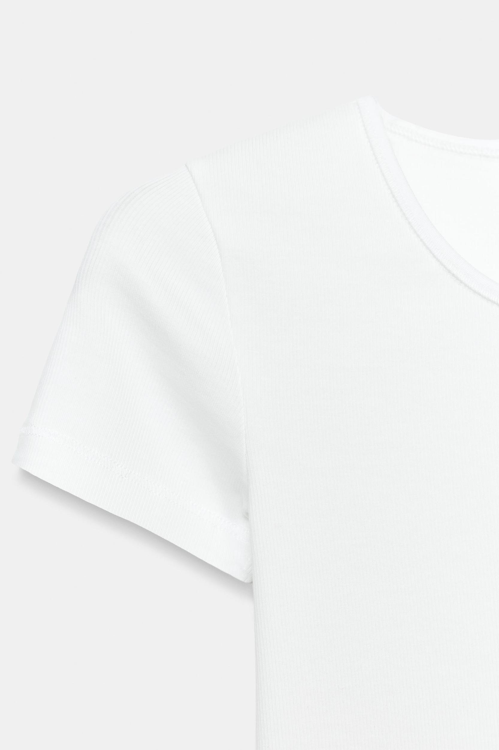 RIB SHORT SLEEVE T-SHIRT Product Image