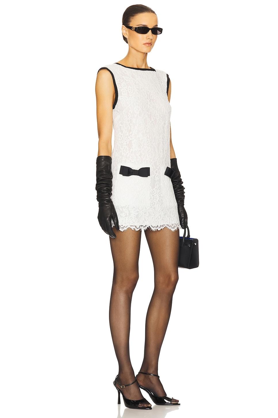 The Lace Mini Dress Helsa Product Image