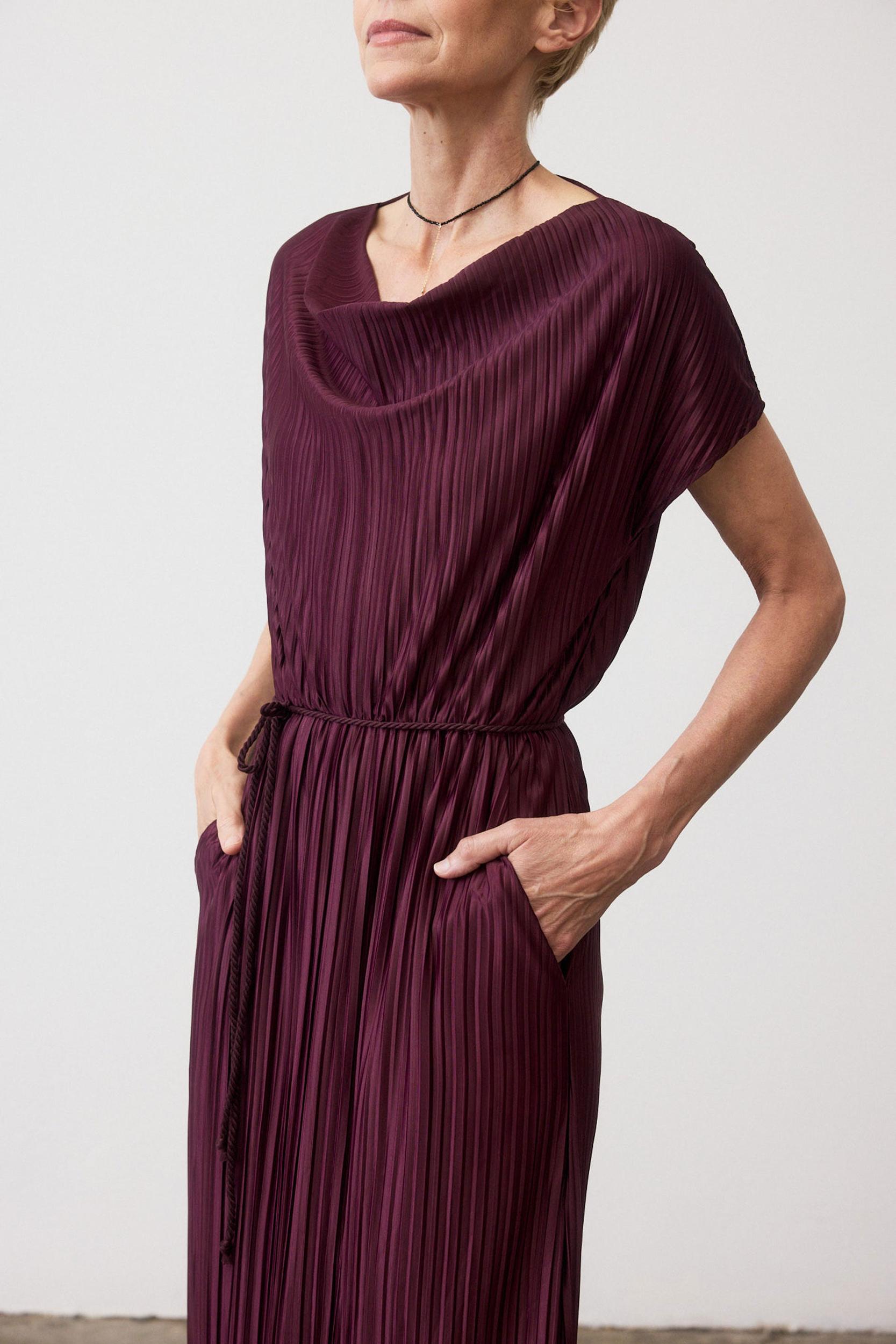 Draped Pleated Maxi Dress Product Image