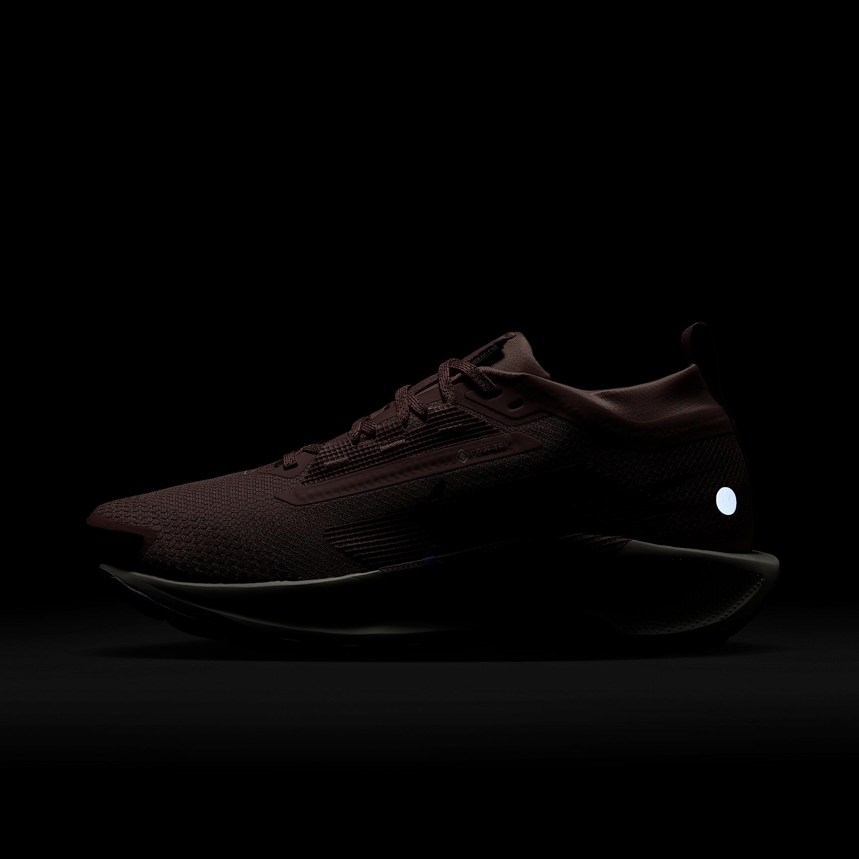 Nike Womens Pegasus Trail 5 GORE-TEX Waterproof Trail Running Shoes | FQ0912-602 Product Image