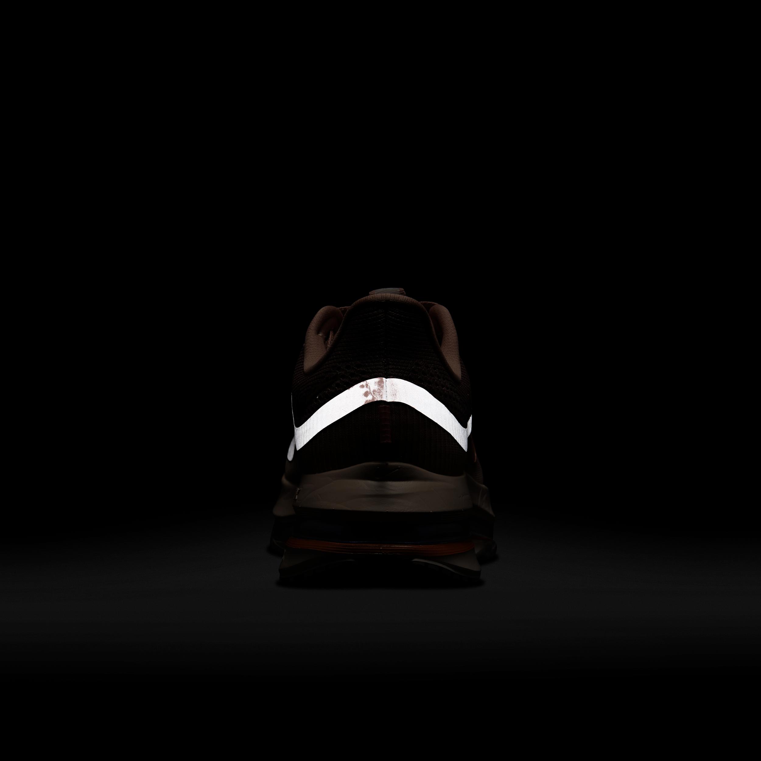 Nike Womens Pegasus Premium Road Running Shoes | HQ2593-603 Product Image