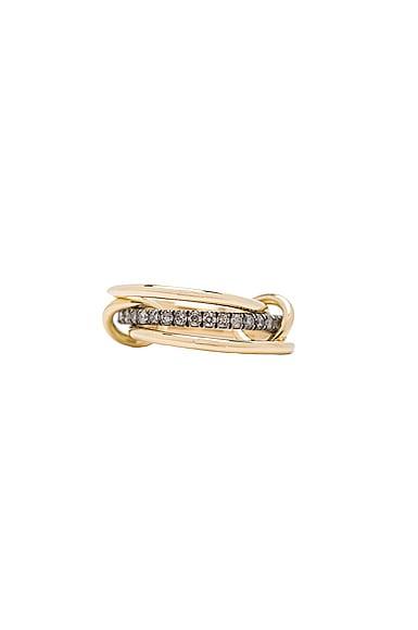 Tigris Ring Product Image
