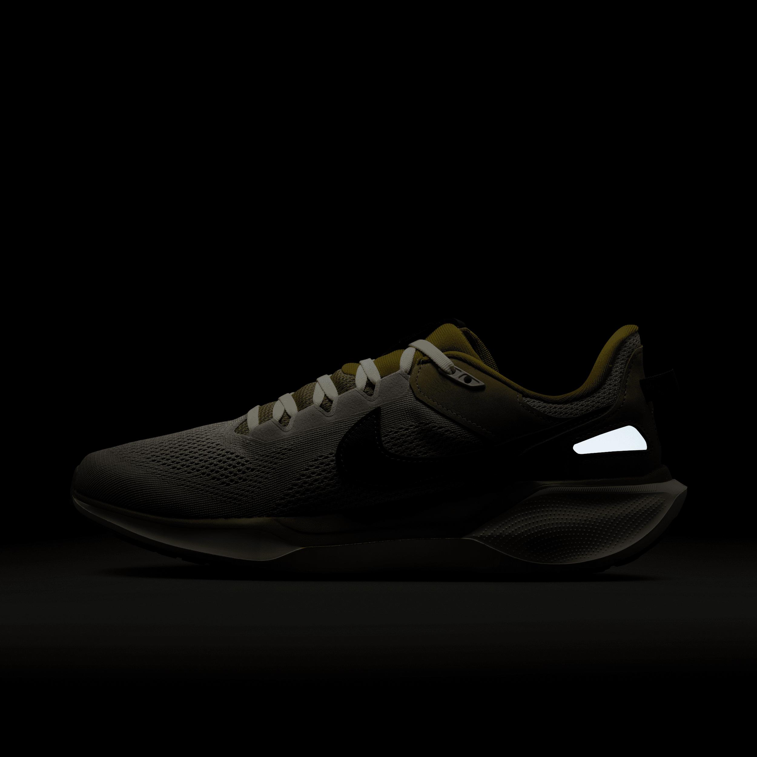 Nike Mens Air Zoom Pegasus 41 SP Shoes | HQ6025-001 Product Image