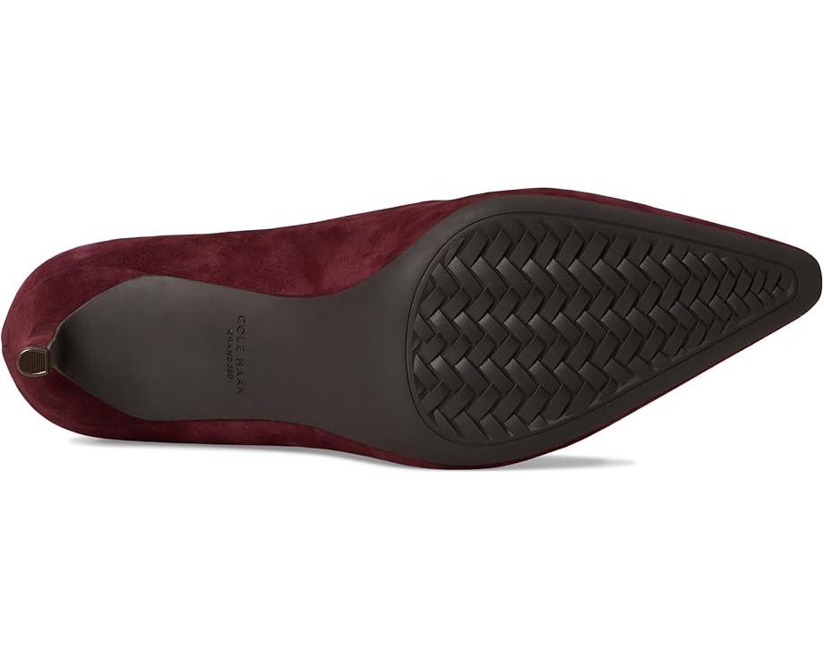 Vivica Pointed Toe Pumps Product Image