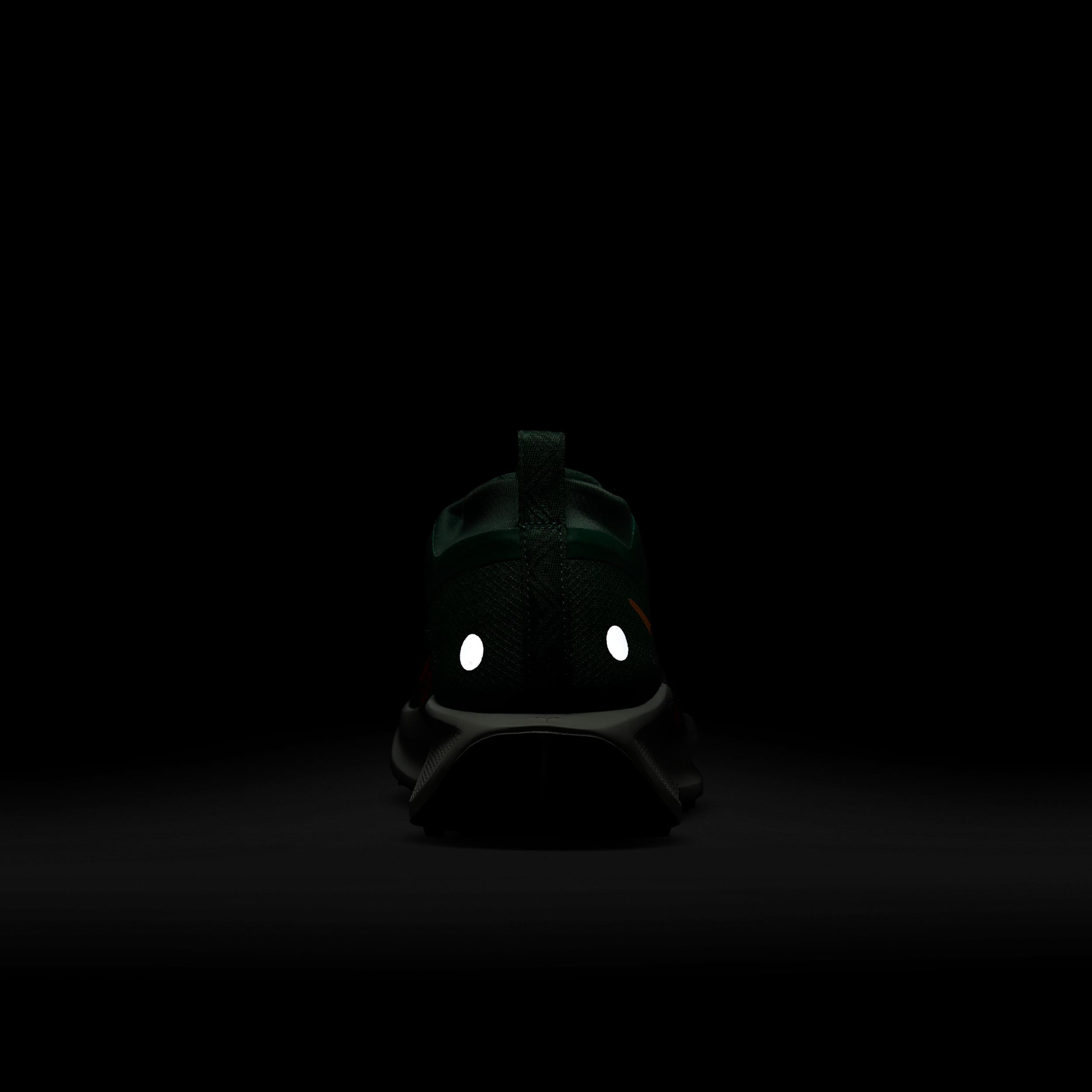 Nike Mens Pegasus Trail 5 GORE-TEX Waterproof Trail Running Shoes | FQ0908-301 Product Image