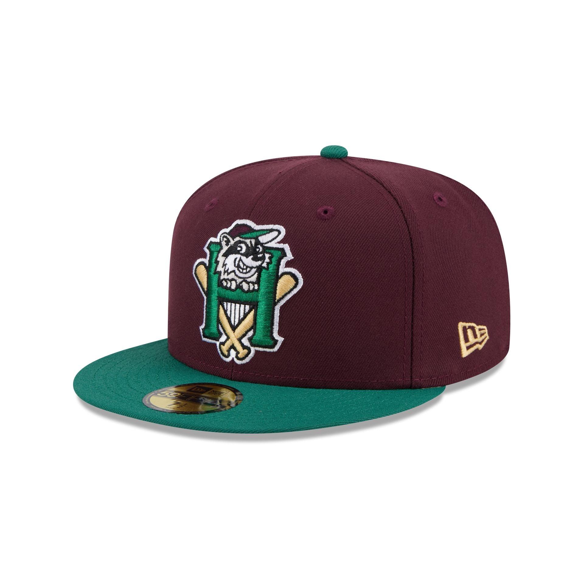 Hudson Valley Renegades Theme Night Maroon 59FIFTY Fitted Hat Male Product Image