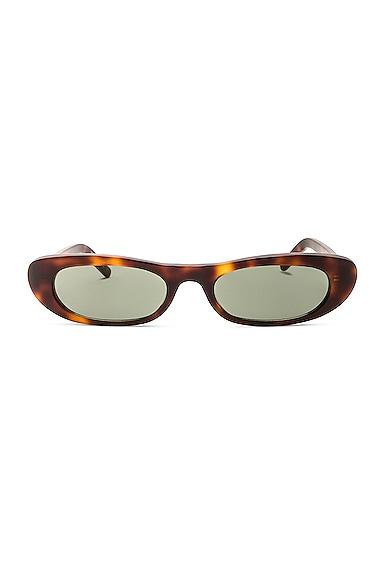 SL 557 Shade Sunglasses Product Image
