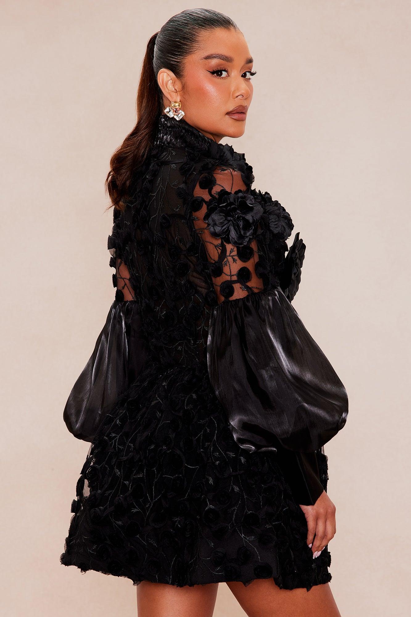 Raven Sheer Embroidered Mini Dress - Black Female Product Image