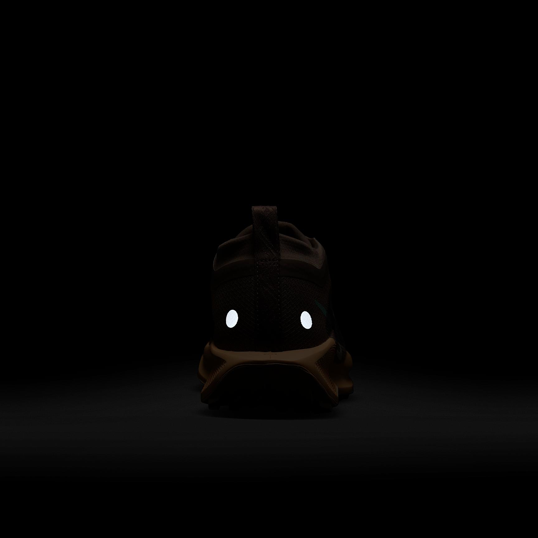 Nike Womens Pegasus Trail 5 GORE-TEX Waterproof Trail Running Shoes | FQ0912-200 Product Image