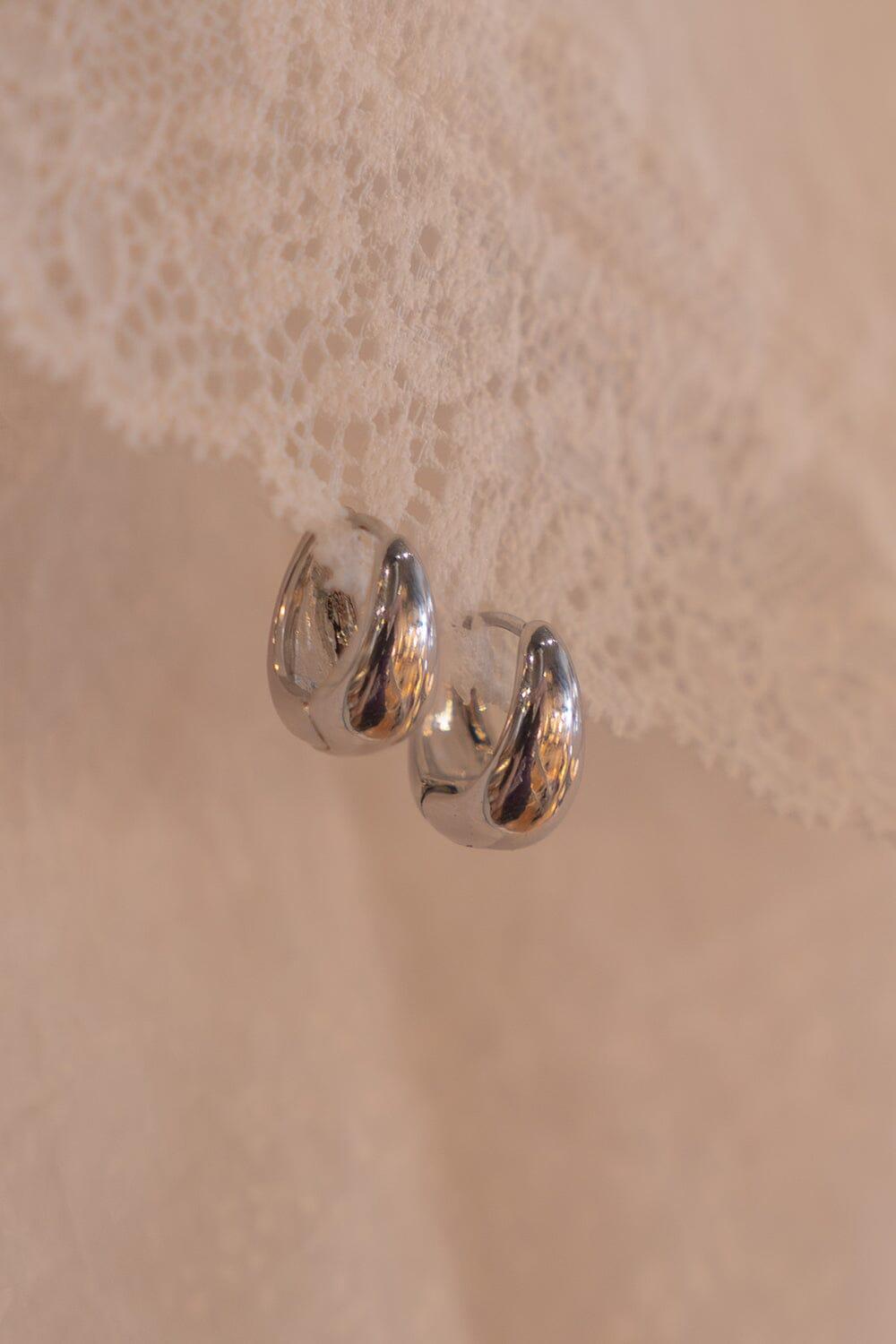 Hoop Earrings Product Image