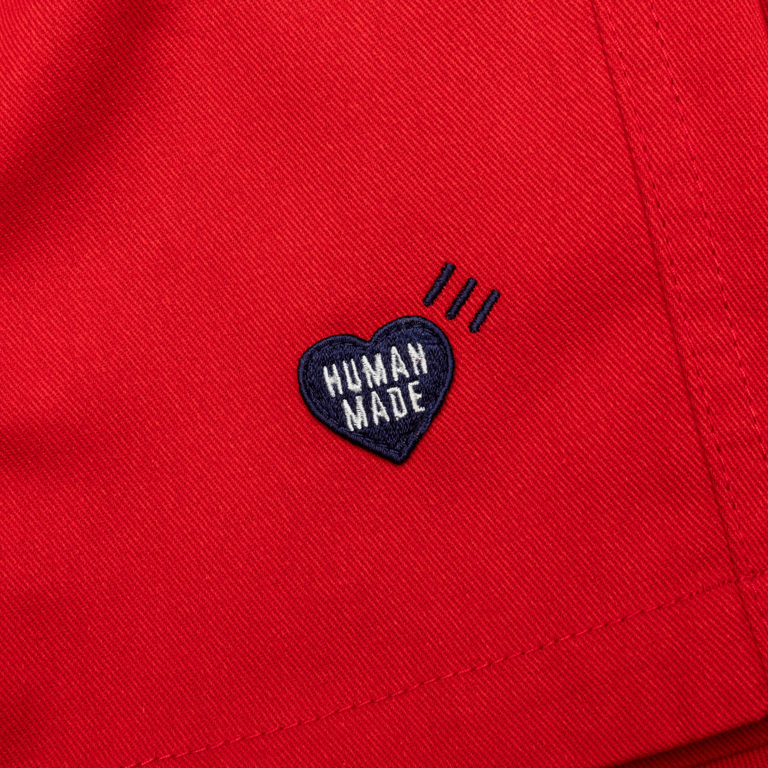 Beach Shorts - Black Male Product Image